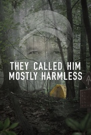 They Called Him Mostly Harmless Poster