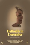 Daffodils in December Poster
