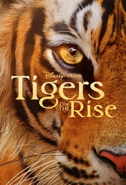 Tiger auf dem Vormarsch Poster